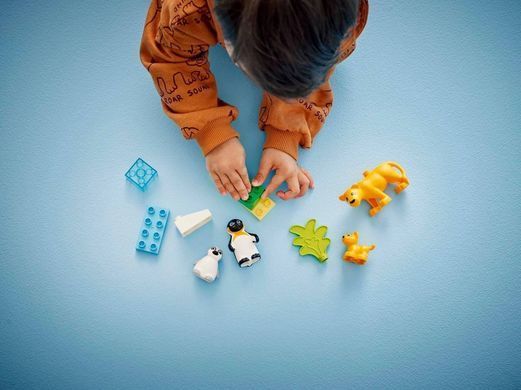 LEGO DUPLO 10442 Сімейства диких тварин: Пінгвіни та Леви