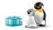 LEGO DUPLO 10442 Сімейства диких тварин: Пінгвіни та Леви