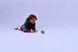 LEGO&reg; 71849 NINJAGO&reg; Nya vs. Mutation Monster Spinner
