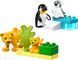 LEGO DUPLO 10442 Сімейства диких тварин: Пінгвіни та Леви