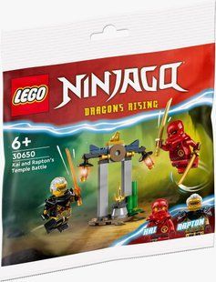 &ndash; фото товара LEGO из категории LEGO NINJAGO. Оригинал, доставка по Украине