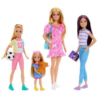 Большой игровой набор кукол Barbie Семья: Барби и ее сестры с аксессуарами Mattel (HWJ01) &ndash; фото товара Barbie из категории Игровые наборы Барби. Оригинал, доставка по Украине