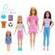 🖼️ Большой игровой набор кукол Barbie Семья: Барби и ее сестры с аксессуарами Mattel (HWJ01) &ndash; фото 2 ➤ Заказать на TOYSLINE.com.ua ⭐ Быстрая доставка