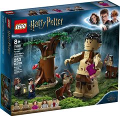 Конструктор Lego Harry Potter Запретный лес: Грохх и Долорес Амбридж 253 детали (75967)
