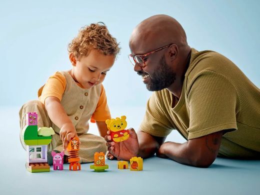 LEGO DUPLO 10457 День народження Вінні Пуха | ЛЕГО 10454 ДУПЛО