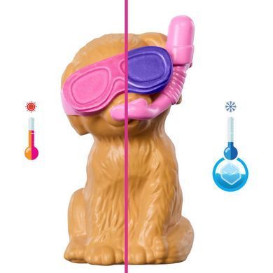 Набор с куклой Barbie "Бассейн для щенков" Mattel (JBF35) &ndash; фото товара Barbie из категории Игровые наборы Барби. Оригинал, доставка по Украине