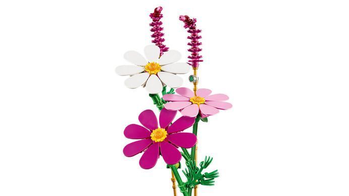 LEGO Botanicals Цветы космеи (11514) &ndash; фото товара LEGO из категории LEGO Botanicals. Оригинал, доставка по Украине