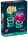 🖼️ LEGO Botanicals Кувшинка (11511) &ndash; фото 11 ➤ Заказать на TOYSLINE.com.ua ⭐ Быстрая доставка