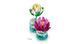 🖼️ LEGO Botanicals Кувшинка (11511) &ndash; фото 7 ➤ Заказать на TOYSLINE.com.ua ⭐ Быстрая доставка