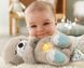 М'яка іграшка нічник Fisher-Price Казкові сни видренятка (FXC66)