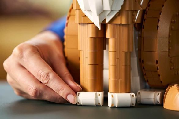 LEGO Ideas Помаранчевий кіт (21376) &ndash; фото товару LEGO з категорії LEGO Ideas. Оригінал, доставка по Україні