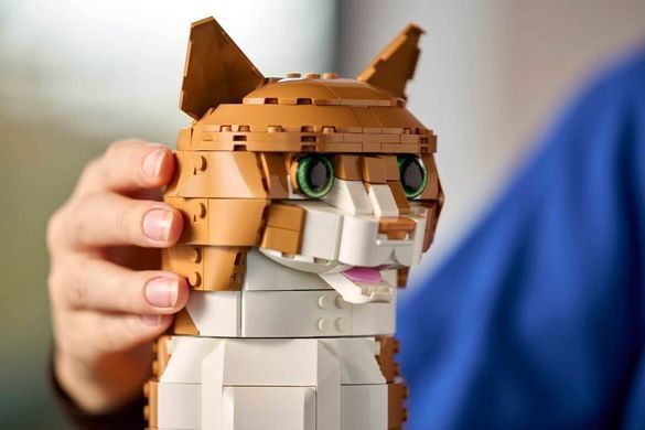 LEGO Ideas Помаранчевий кіт (21376) &ndash; фото товару LEGO з категорії LEGO Ideas. Оригінал, доставка по Україні