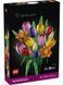 🖼️ LEGO Botanicals Букет тюльпанів 576 деталей (11501) &ndash; фото 14 ➤ Купити на TOYSLINE.com.ua ⭐ Швидка доставка