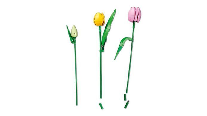 LEGO Botanicals Букет тюльпанів 576 деталей (11501) &ndash; фото товару LEGO з категорії LEGO Botanicals. Оригінал, доставка по Україні