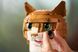 🖼️ LEGO Ideas Помаранчевий кіт (21376) &ndash; фото 13 ➤ Купити на TOYSLINE.com.ua ⭐ Швидка доставка
