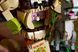 LEGO&reg; 72423 Shrek: Shrek, Donkey & Puss in Boots