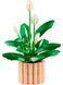 🖼️ LEGO Botanicals Спатифиллум 474 детали (11504) &ndash; фото 3 ➤ Заказать на TOYSLINE.com.ua ⭐ Быстрая доставка