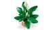 🖼️ LEGO Botanicals Спатифиллум 474 детали (11504) &ndash; фото 6 ➤ Заказать на TOYSLINE.com.ua ⭐ Быстрая доставка
