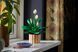 🖼️ LEGO Botanicals Спатифиллум 474 детали (11504) &ndash; фото 11 ➤ Заказать на TOYSLINE.com.ua ⭐ Быстрая доставка