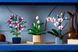 🖼️ LEGO Botanicals Спатифиллум 474 детали (11504) &ndash; фото 14 ➤ Заказать на TOYSLINE.com.ua ⭐ Быстрая доставка