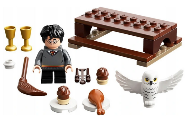 Конструктор Lego Harry Potter Гарри Поттер и Букля 31 деталь (30420)