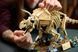 LEGO 77985 Jurassic World Скамʼянілості динозаврів: трицератопс