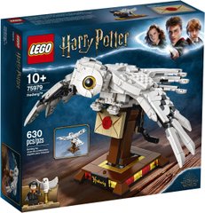 Конструктор Lego Harry Potter Букля 630 деталей (75979)