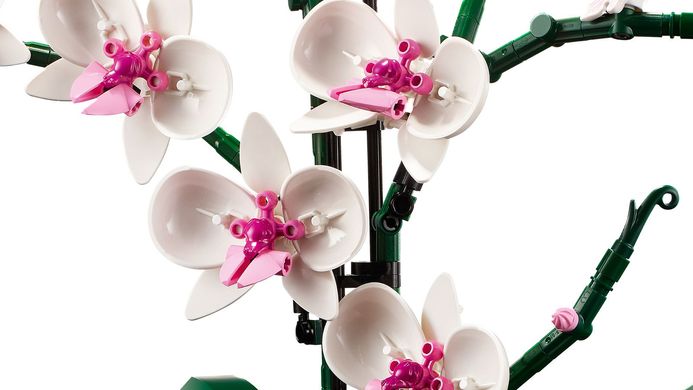Конструктор LEGO Creator Expert Орхидея 608 деталей (10311) купить