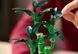 LEGO Botanicals 10344 Бамбук щастя | ЛЕГО 10344 Квіти Ботанікал колекшн