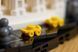 🖼️ LEGO Architecture Нью-Йорк &mdash; &laquo;Велике яблуко&raquo; (21066) &ndash; фото 11 ➤ Купити на TOYSLINE.com.ua ⭐ Швидка доставка