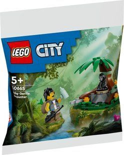 lego city 30665