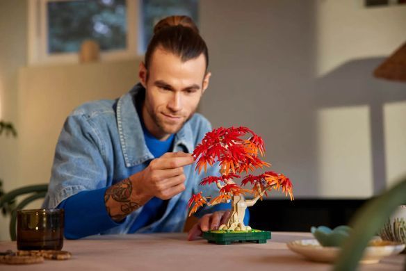 LEGO 10348 Botanicals Бонсай з японського червоного клена | ЛЕГО 10348 Квіти