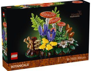 LEGO 11505 Botanicals Лісові гриби