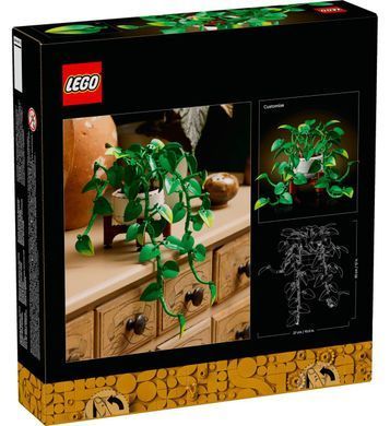 LEGO Botanicals Звислий епіпремнум золотистий (11512) &ndash; фото товару LEGO з категорії LEGO Botanicals. Оригінал, доставка по Україні