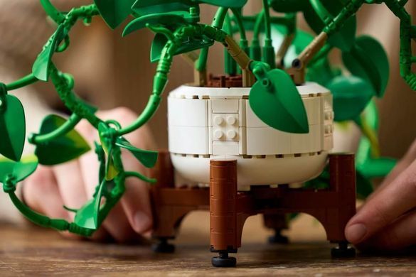 LEGO Botanicals Звислий епіпремнум золотистий (11512) &ndash; фото товару LEGO з категорії LEGO Botanicals. Оригінал, доставка по Україні
