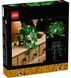 🖼️ LEGO Botanicals Звислий епіпремнум золотистий (11512) &ndash; фото 2 ➤ Купити на TOYSLINE.com.ua ⭐ Швидка доставка