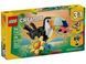 LEGO Creator 31173 &mdash; Дикі тварини: тропічний тукан