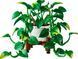 🖼️ LEGO Botanicals Звислий епіпремнум золотистий (11512) &ndash; фото 3 ➤ Купити на TOYSLINE.com.ua ⭐ Швидка доставка