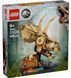 🖼️ LEGO Jurassic World Скам'янілості динозаврів: череп трицератопса (76969) &ndash; фото 9 ➤ Купити на TOYSLINE.com.ua ⭐ Швидка доставка